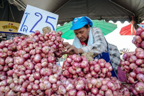 Рабочие ссылки и зеркала кракен