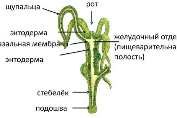 Кракен найти сайт
