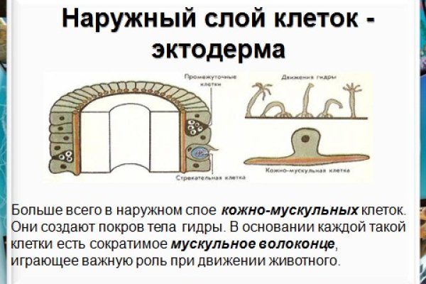 Кракен как попасть